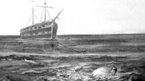 Лев Николаевич Толстой Рассказ Акула