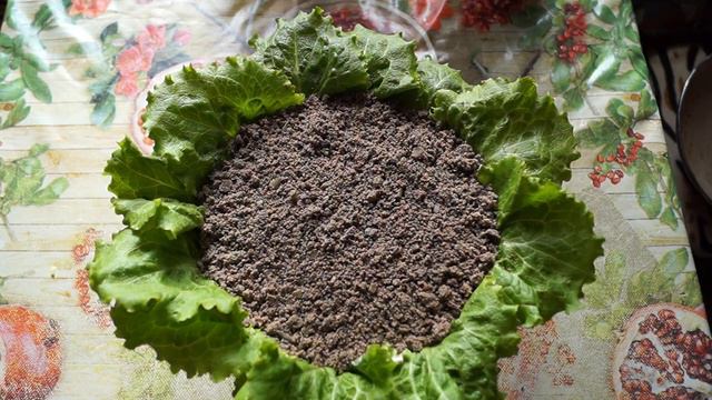 Салатик Подсолнух #владимиррадеев #салат #подсолнух #вкусно