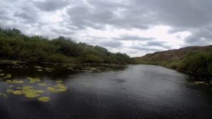 Попали на раздачу хищника))))))