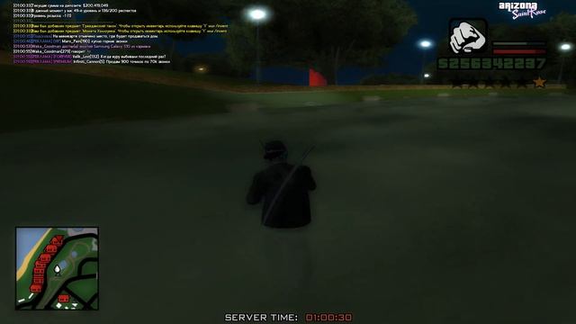 ЛОВЛЯ ДОМОВ,СЛОВИЛ "МНОГО" ДОМОВ,ЛОВЛЯ на ARIZONA RP(GTA SAMP)