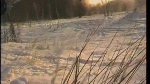 Пороша белая. Галина Ненашева. Galina Nenasheva