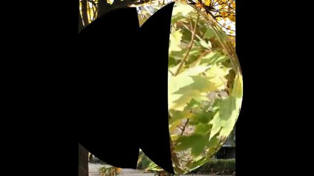 Галина Бовина и Владислав Лыньковский - Листья желтые смотреть онлайн