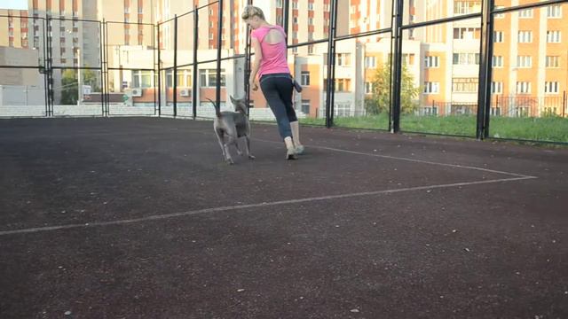 Изображение 282 смотреть онлайн