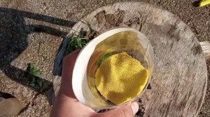 Сделал фильтр для воды в походы. Из пластиковой бутылки.