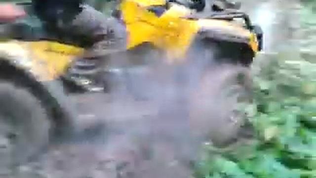 ??????.Brp