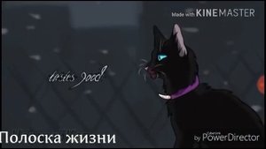 Клип коты воители:Танцы на костях//Бич//