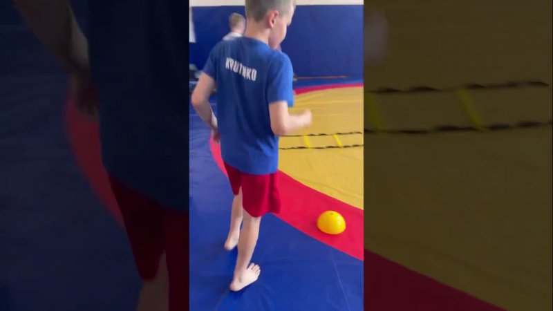 #каратэwkf #каратэдлядетей #секция #мамакемябуду #каратэ #дети