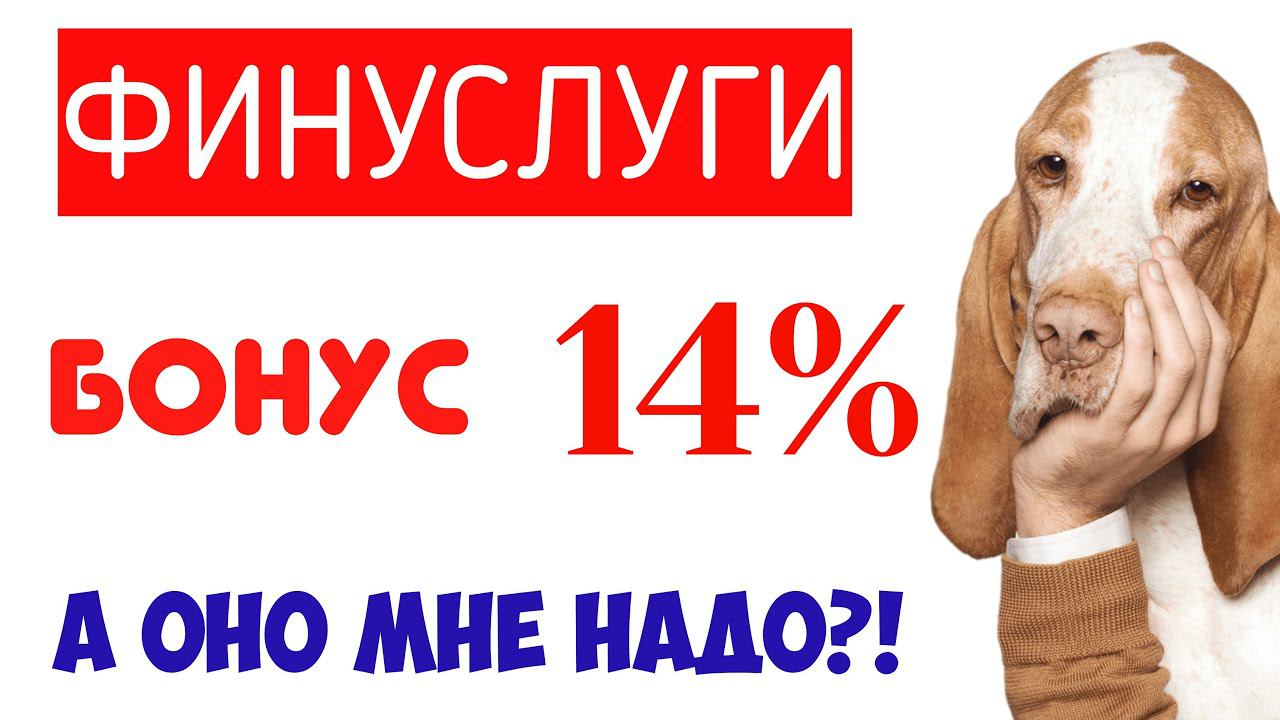 Финуслуги работа. Финуслуги работа