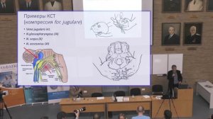 Ахметсафин А.Н. "Краниосакральная система"