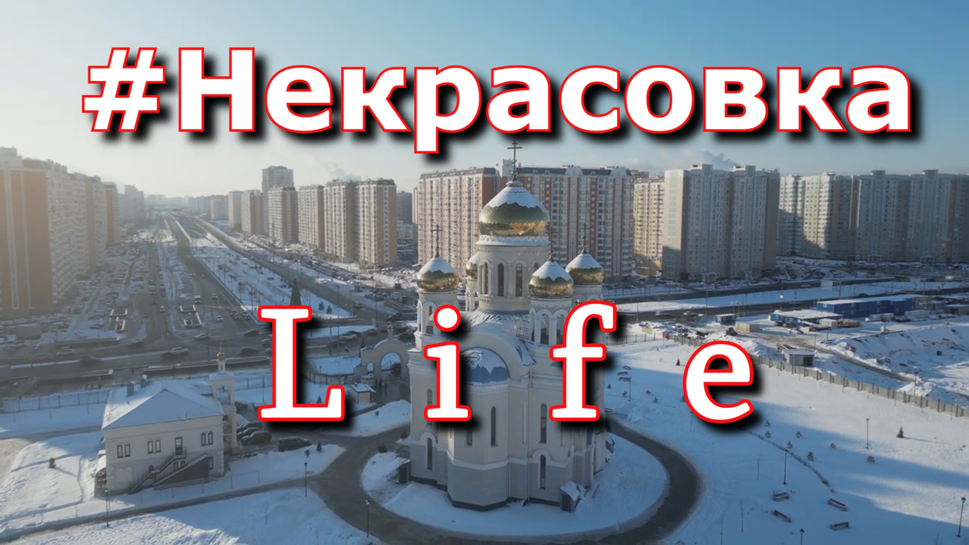 Совесть некрасовки