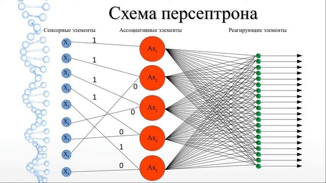 Схема нейронной сети розенблатта