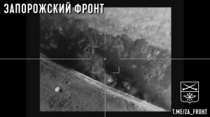 Иксоводы отряда СпН «Викинг» уничтожили украинский комплекс РЭБ «Буковель-AD»