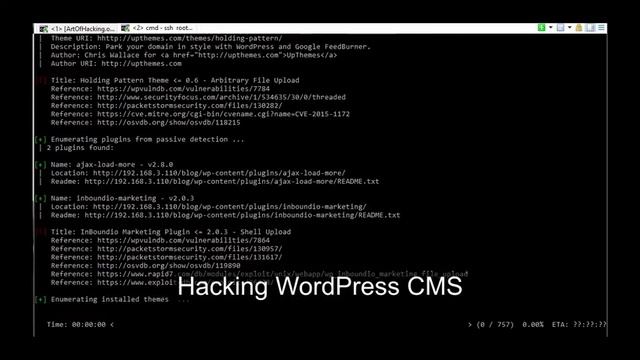 Cyber Security: The Art of Hacking training course смотреть онлайн