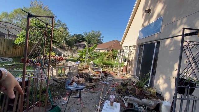 Building a Bamboo Gazebo смотреть онлайн