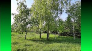 ДЫМ  ОТЕЧЕСТВА  Ст. Евгении Поздняковой , Константина Медведева.  муз К.Медвед  исп Светлана Шевцова