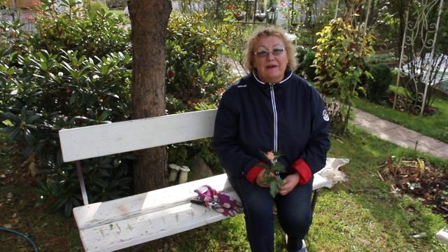 Создание Розового сада. Укрытие роз на зиму. смотреть онлайн