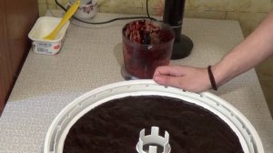 Пастила из черники. Пастила в сушилке. Пастила в дегидраторе.