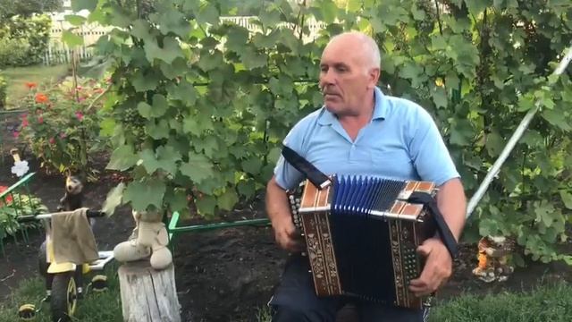 Красота? Играет Виктор Авдулов Воронежская обл. Гармонь Оленичева А.А.