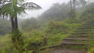 Вулкан Мон-Пеле. Остров Мартиника