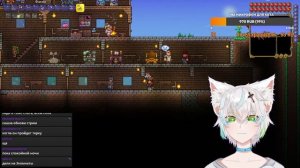 Cloud cat. Учусь играть в Terraria! Ушастый стрим для тех кто не спит ) |vtuber|