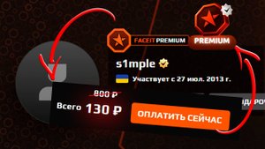КАК КУПИТЬ FACEIT PREMIUM за 130 РУБЛЕЙ (650 ТЕНГЕ) в 2024 ГОДУ | CS2