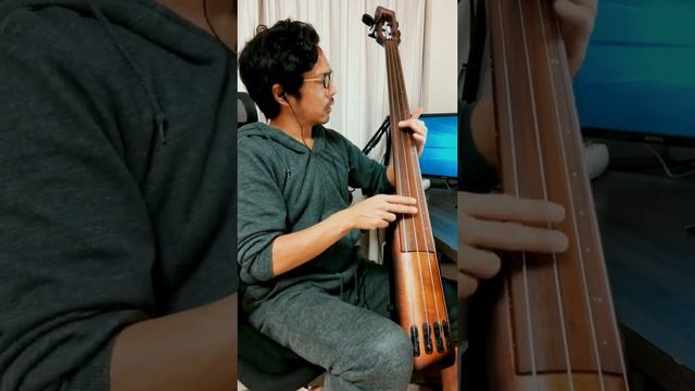 【TK from 凛として時雨 - unravel / THE FIRST TAKE】アップライトベース（Ibanez UB804）を練習する6弦エレキベース奏者 смотреть онлайн