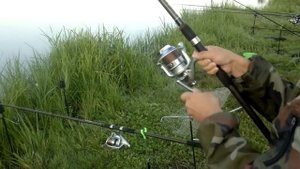 Карп на корчагинце, Россия Мордовия г саранск поклевка карпа на сигнализатор рыбалка,поклёвка карпа