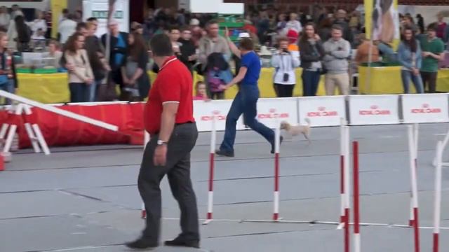 Квалификационные соревнования, СКК, 01.06.14г. v26 смотреть онлайн