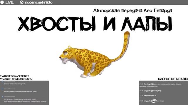 Хвосты и Лапы. Эфир Лео Гепарда от 13 июля 2021 смотреть онлайн
