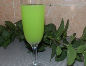 Вино из листьев Мяты