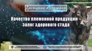 Качество племенной продукции – залог здорового стада