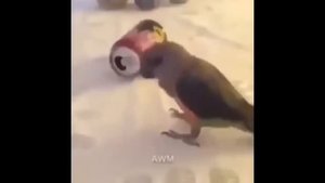 ROBLOX Rainbow Friends Funny Moments (MEMES) #3