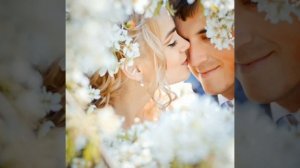 Катя Денисова Белая Сирень.