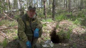 Вакцинация плотоядных весной 2024