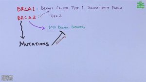 Breast Cancer Genes and Mutations