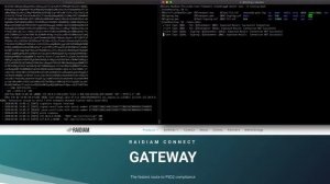 Raidiam Connect Gateway Docker