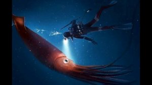 Гигантский кальмар.