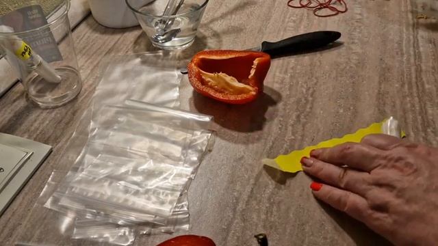 февраль. рассада без земли. сажаю перец и баклажаны.
