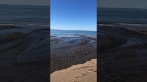 1-15. Пимслер. Итальянский язык. Уровень 1. Урок 15.