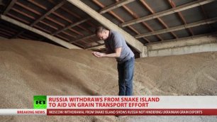 Russia withdraws troops from Snake Island in 'goodwill gesture' to alleviate food crisis