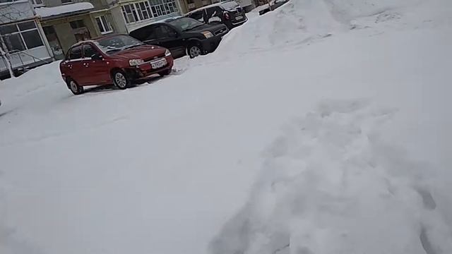 Будни Буси часть 1 "Мой снежный Барс)))" смотреть онлайн