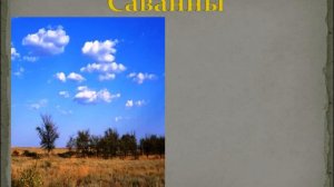 Природные зоны широтная зональность и высотная поясность