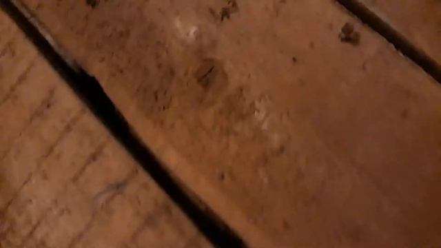 В СССР уже был гипсокартон