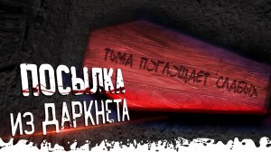 ПОСЫЛКА ИЗ ДАРКНЕТА. Страшные истории и мистика. Паша Тайга