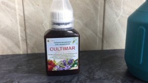 Супер способ выращивания катарантуса. Уход зимой!!!  Как получить хорошую рассаду !!!