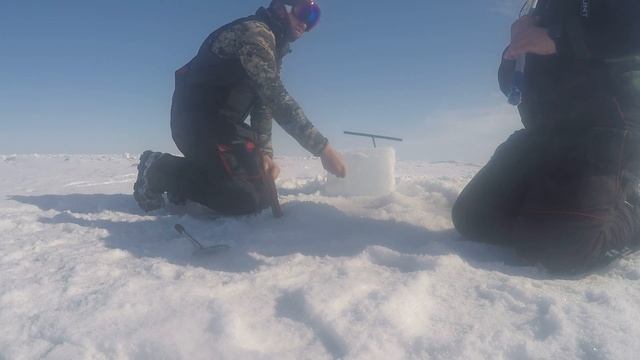 Как поймать и приготовить колючего краба(How to catch and cook a crab) смотреть онлайн