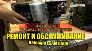 Кофемашина Delonghi ESAM6600 разборка, ремонт, советы по обслуживанию