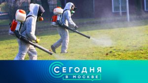 «Сегодня в Москве»: 30 мая 2023 года