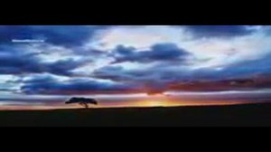 История  во времена Пророка (С.А.В)