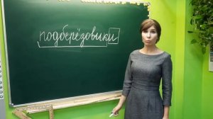 3 класс. Русский язык. Разбор слова по составу.